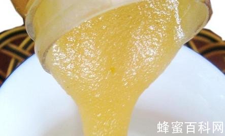 一匙土蜂蜜就能增强抵抗力。