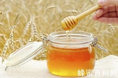 蜂蜜水怎么喝能减肥？