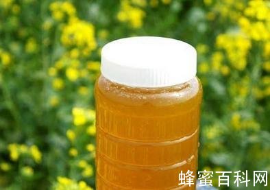 单花蜜的品种与特点