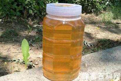 什么是荆条蜜？