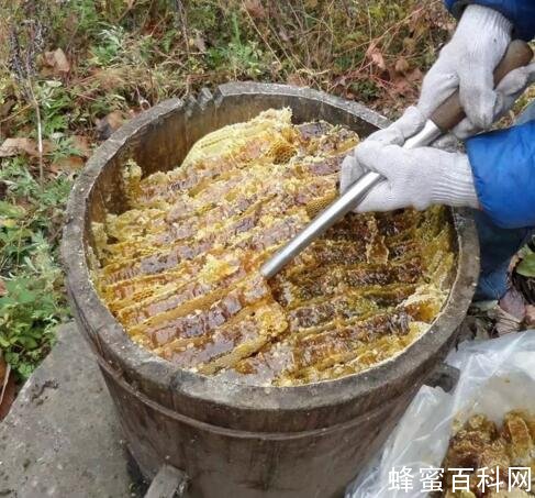 野生土蜂蜜的价格是多少