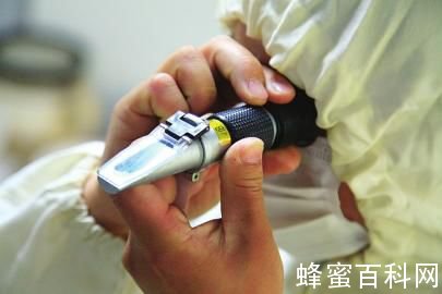 国内外成熟蜂蜜对比