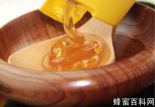 什么是紫云英蜂蜜？