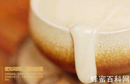 大而全的保养佳品——蜂蜜