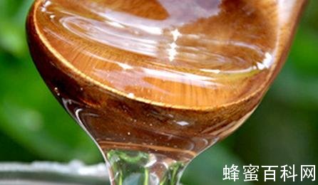 炎炎夏日即将来临：多吃蜂蜜少吃肉