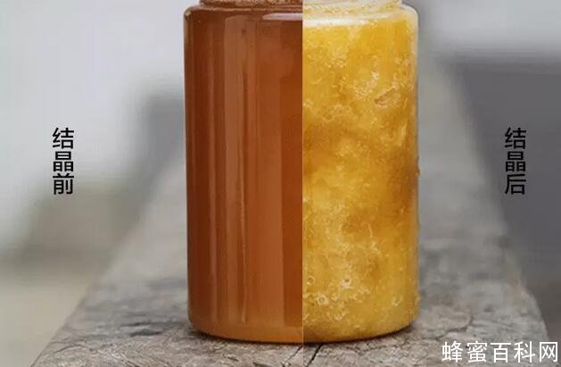 不是所有蜂蜜都是好蜂蜜 这你一定要知道