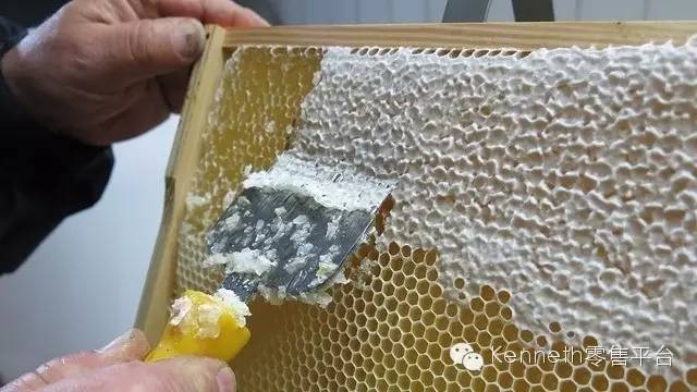 选购蜂蜜10堂课 你知道如何选蜂蜜?