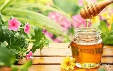常见的蜂蜜种类及蜂蜜最佳饮用时间