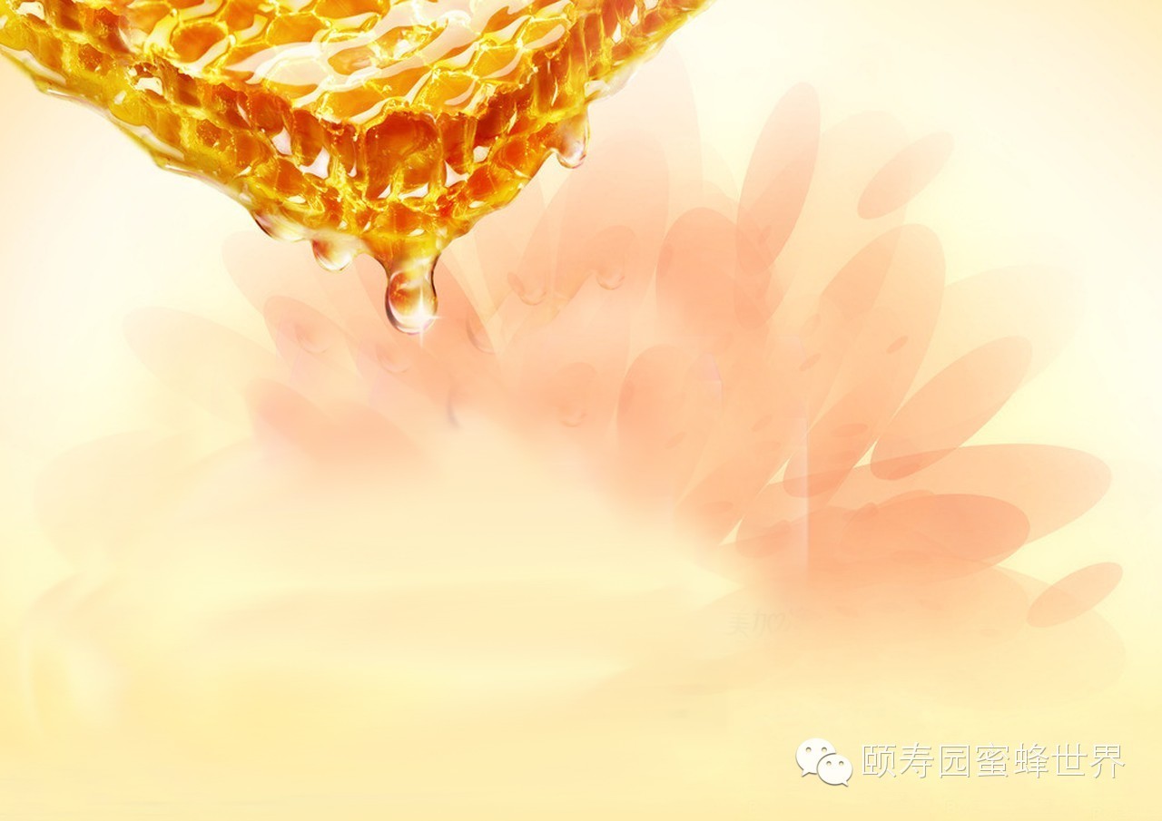 蜂蜜比砂糖好在哪里