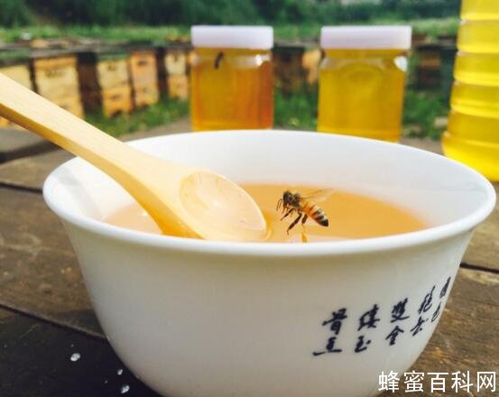 如何辨别蜂蜜是凉性还是热性？热性蜂蜜和凉性蜂蜜的区别