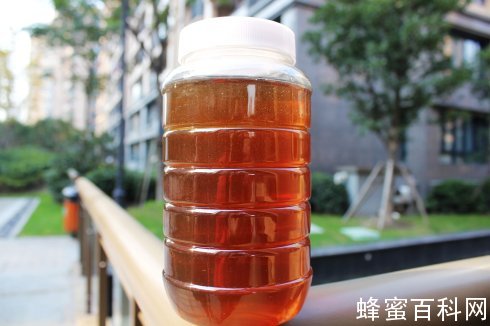 浓缩蜜和天然成熟蜜哪个性价比更高一些？