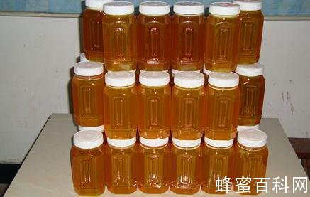 为你揭开“洋蜂蜜”的真相