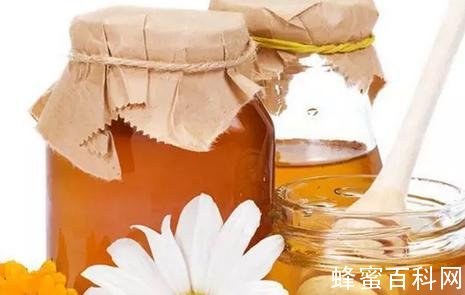蜂蜜中的“酶”是什么？酶有什么作用?
