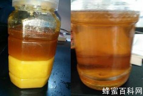 真蜂蜜PK假蜂蜜,怎么才能买到真蜂蜜