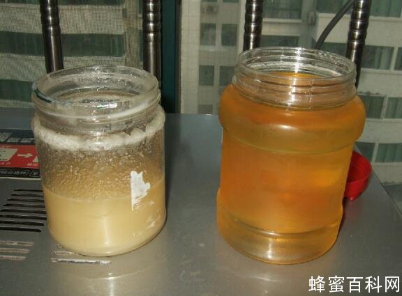 购买蜂蜜还是到养蜂场购现场取蜜的好？