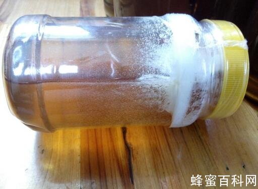 土蜂蜜里面有泡沫正不正常？