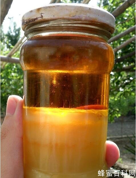 蜂农会喂白糖给蜜蜂吃吗？