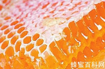 山兄弟蜂蜜网