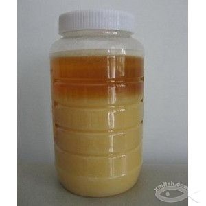 蜂蜜沉淀