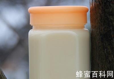蜂蜜水什么时候喝效果最好？