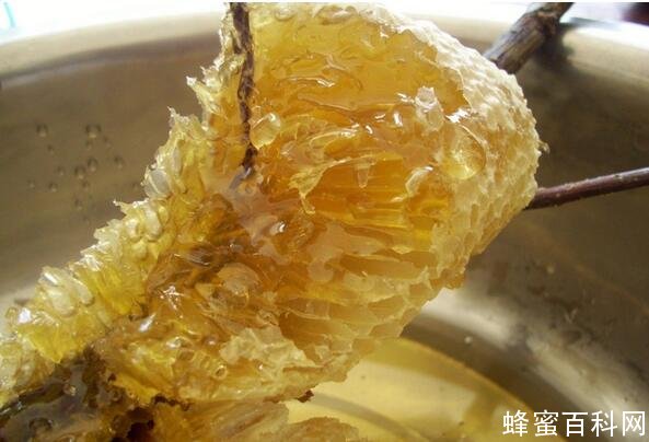 野生蜂蜜_野生蜂蜜作用及功效