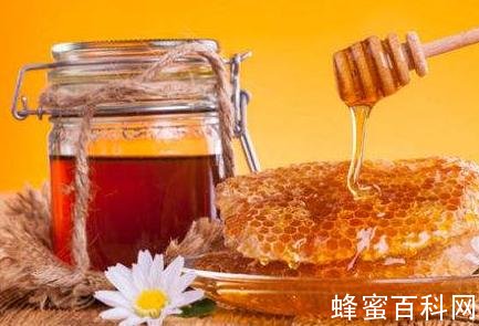 蜂蜜养生食疗小秘方