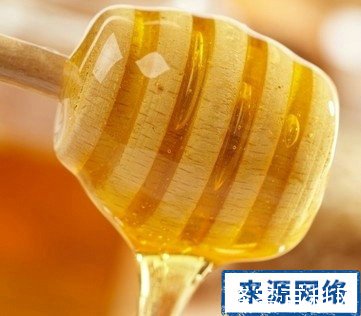 蜂蜜治病 蜂蜜治病的偏方 蜂蜜的功效