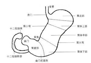 蜂蜜偏方