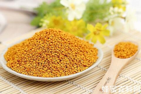 蜂花粉是治疗前列腺炎的理想药品
