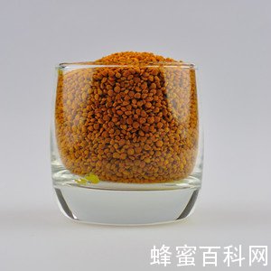 蜂花粉可提供记忆力_蜂花粉可恢复脑力疲劳
