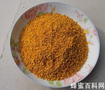 蜂花粉是老年人最理想的营养保健品