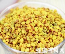 食用蜂花粉后为何有胃不适感觉？