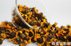 昆仑雪菊可以和蜂蜜一起喝吗？