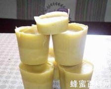 蜂胶保护肝脏