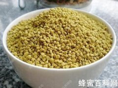 蜂花粉为何能养颜美容？
