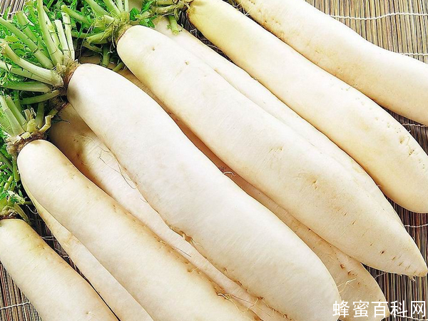 白萝卜加蜂蜜巧治咳嗽