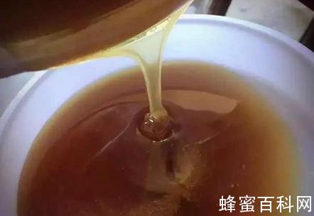 石德军：要让巫山土蜂蜜走出国门