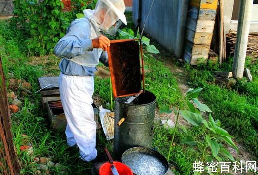 土包子蜂业有限公司椴树蜜被检出含有违规成分
