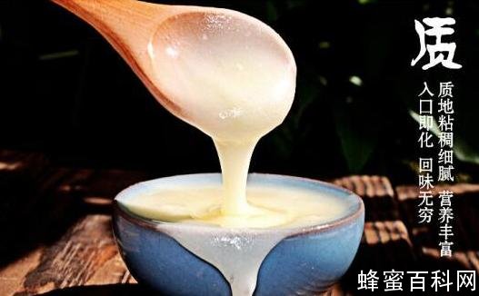 “林中蜜事”——一个关于蜂蜜的故事
