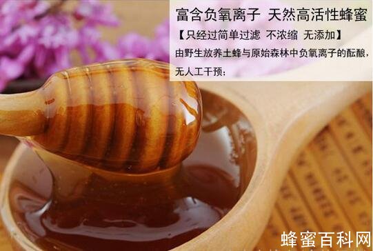 关于土蜂蜜的那些事【购买土蜂蜜别贪便宜】