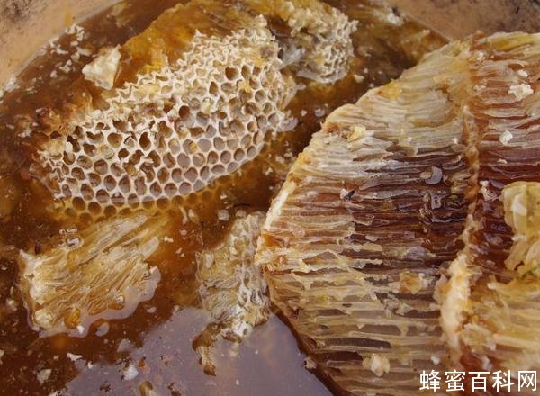 真正的土蜂蜜多少钱一斤 秦岭土蜂蜜好吗