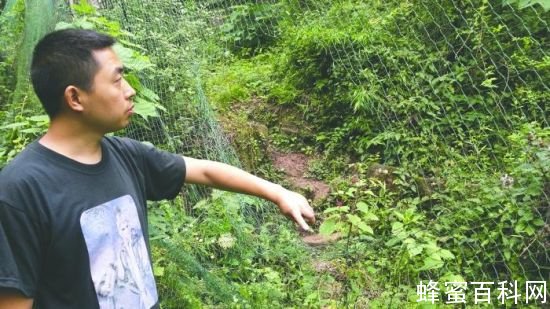 黑熊