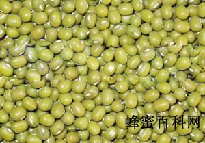 绿豆